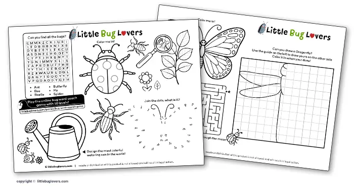 bug activity sheets