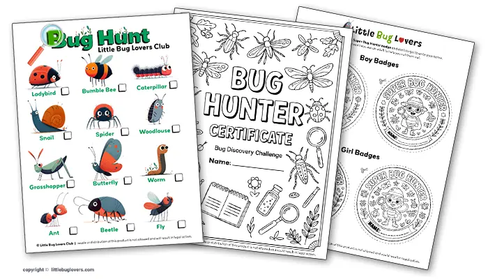 bug-hunt-certificate-badges-700px bug hunt certificate and badges